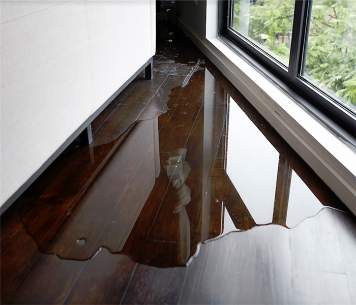 a puddle of water on wood floor